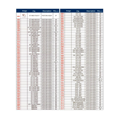 Piston Assy Series